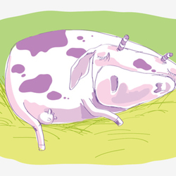 спящая корова