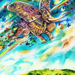 Слон на крыльях любви.