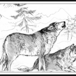 Волки-семья, карандаш,20x30sm.