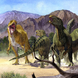 Altispinax dunkeri and Iguanodons
