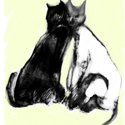 Чёрная кошка, белый кот
