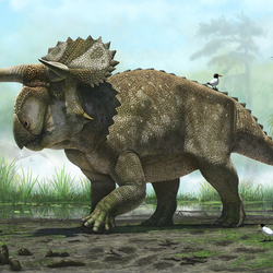 Назутуцератопс (динозавр)