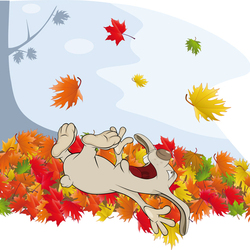 Кролик осень и листопад