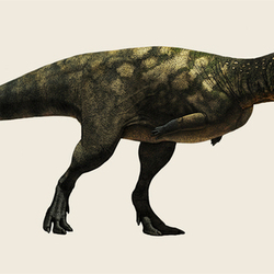 Eoabelisaurus (Эоабелизавр)