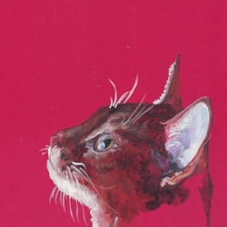 Кошачий портрет (х5)