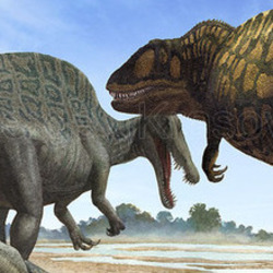 Кархародонтозавр и спинозавры