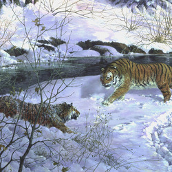 Мартовские тигры