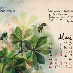 Майские каштаны календаря "sputnic"