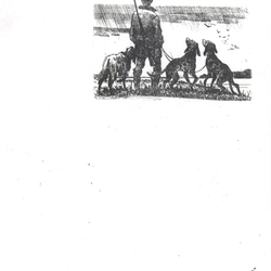 Иллюстрация к книге "Волчья тоска"