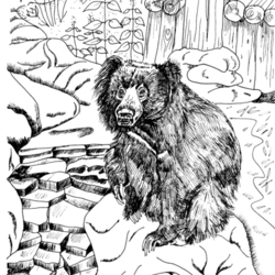 Медведь-губач