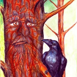 Дерево и ворон
