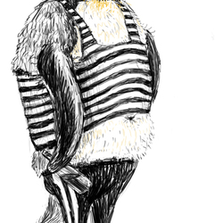 седовласый пингвин-маргинал