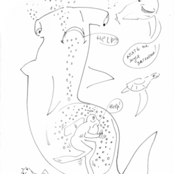 Пугливая Акула и пузырьки аквалангистов