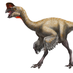 Персонажи Oviraptor (динозавры)