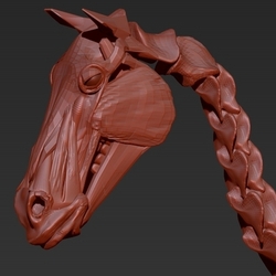 анатомия лошади