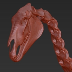 анатомия лошади2