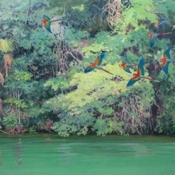 Летящие арары, река Уатуман (вариант №1)