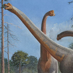Брахиозавры и дикреозавры