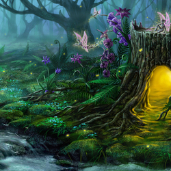 локация " Волшебный лес"