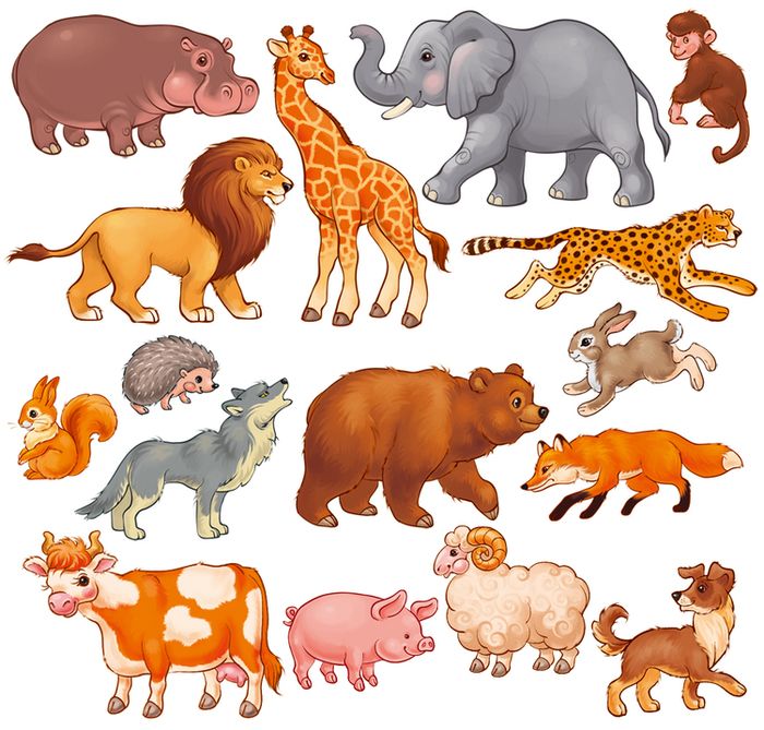 Животные Картинки Для Детей 5 Лет