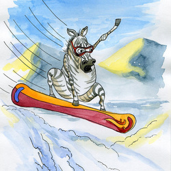 Зебра на сноуборде