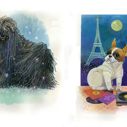 Собака: лохматая и гладкошерстная. Иллюстрация к книге Ю. Солодкина "Собаки"