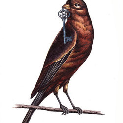 Птичка с ключиком. Иллюстрация для тату