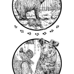 Шмуц-титулы для книжки про животных (1)