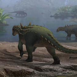 Struthiosaurus austriacus 2D