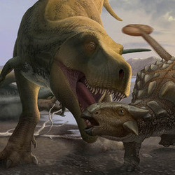 tyrannosaurus vs ankylosaurus
