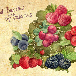 Лесные ягоды Беларуси