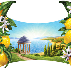 Иллюстрация для лимонада ТМ "Напитки из Черноголовки".