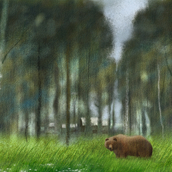 Сибирь - край непуганых медведей