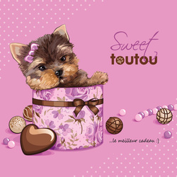 Sweet Toutou