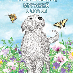 Обложка для книги В. Бердышева