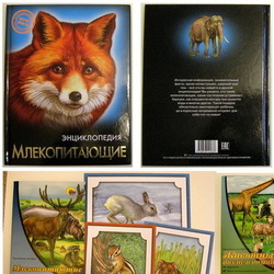  "Млекопитающие". Обложки 1, 4, титул, карточки  из пособий.
