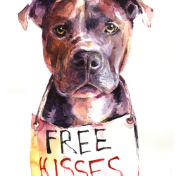 собака питбуль "бесплатные поцелуи"