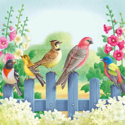 Певчие птицы на заборе