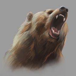 медвед
