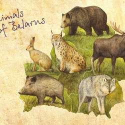Животные Беларуси