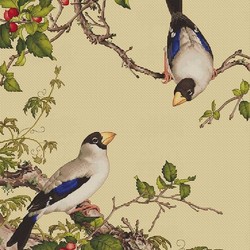 Птицы и вишня. По рисунку Дж. Кастильоне.