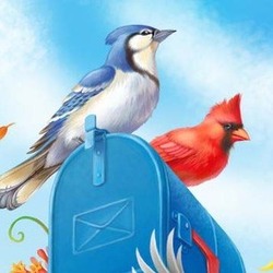 Птицы и почтовый ящик