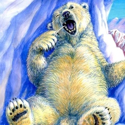 Я белый медведь
