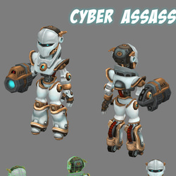 Cyber Assassin