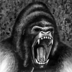 Злая горилла