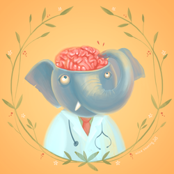 Neurosurgeon elephant