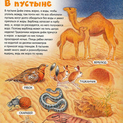 Пустыня. Иллюстрация к детской энциклопедии