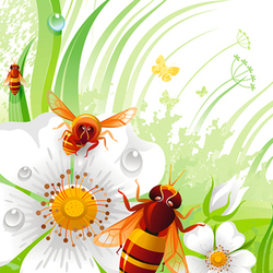 Пчелы и шиповник