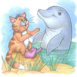 Кот и дельфин
