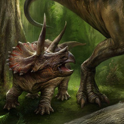 Трицератопс и тираннозавр. Палеонтология